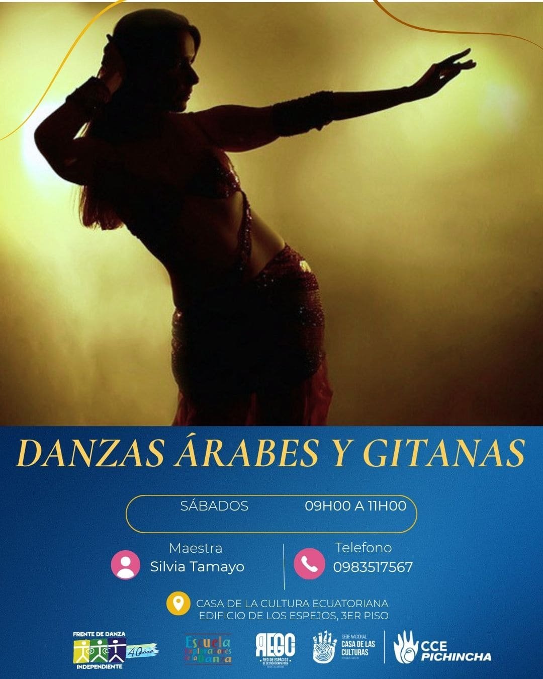Danzas Arabes y Gitanas Danzas Flamencas con Silvia Tamayo